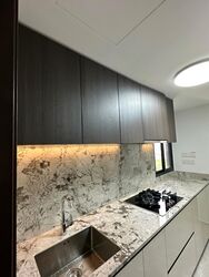 Tembusu Grand (D15), Condominium #576201211